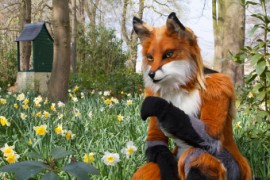 Furry Weekend Holland 2019