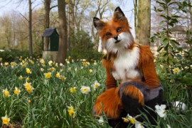 Furry Weekend Holland 2019