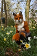 Furry Weekend Holland 2019