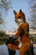 Furry Weekend Holland 2019