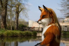 Furry Weekend Holland 2019