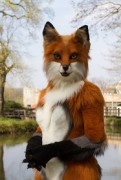 Furry Weekend Holland 2019