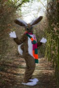 Furry Weekend Holland 2019