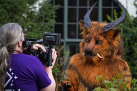 Furry Weekend Holland 2019