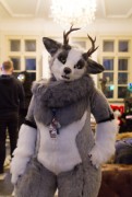 Furry Weekend Holland 2019