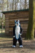 Furry Weekend Holland 2019