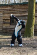 Furry Weekend Holland 2019