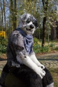 Furry Weekend Holland 2019