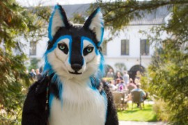 Furry Weekend Holland 2019