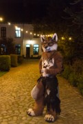 Furry Weekend Holland 2019