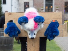 Furry Weekend Holland 2022