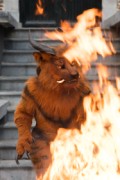 Furry Weekend Holland 2022