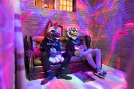 Furry Weekend Holland 2022