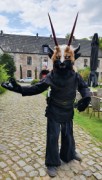 Furry Weekend Holland 2022