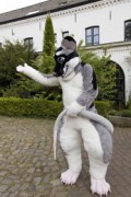 Furry Weekend Holland 2022