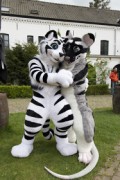 Furry Weekend Holland 2022