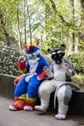 Furry Weekend Holland 2022