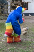 Furry Weekend Holland 2022