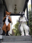 Furry Weekend Holland 2022