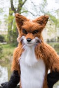 Furry Weekend Holland 2022