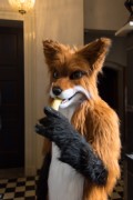 Furry Weekend Holland 2022