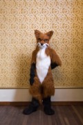 Furry Weekend Holland 2022