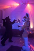 Furry Weekend Holland 2022