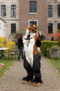 Furry Weekend Holland 2022