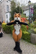 Furry Weekend Holland 2022