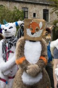 Furry Weekend Holland 2022