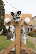 Furry Weekend Holland 2022