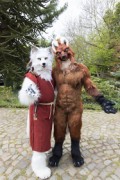 Furry Weekend Holland 2022