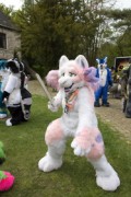 Furry Weekend Holland 2022