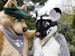 Furry Weekend Holland 2022