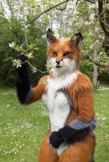 Furry Weekend Holland 2022