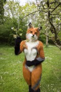 Furry Weekend Holland 2022