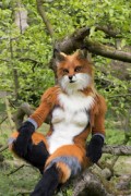 Furry Weekend Holland 2022