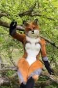 Furry Weekend Holland 2022