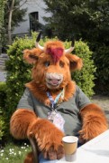 Furry Weekend Holland 2022