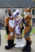 Furry Weekend Holland 2022