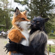 Furry Weekend Holland 2022