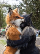 Furry Weekend Holland 2022