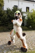 Furry Weekend Holland 2022