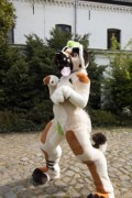 Furry Weekend Holland 2022