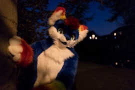 Furry Weekend Holland 2022