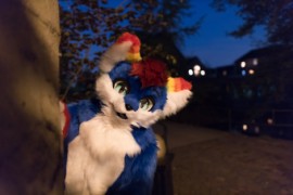 Furry Weekend Holland 2022