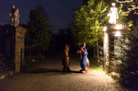 Furry Weekend Holland 2022