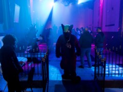 Furry Weekend Holland 2022