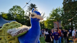 Furry Weekend Holland 2023