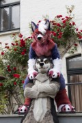 Furry Weekend Holland 2023